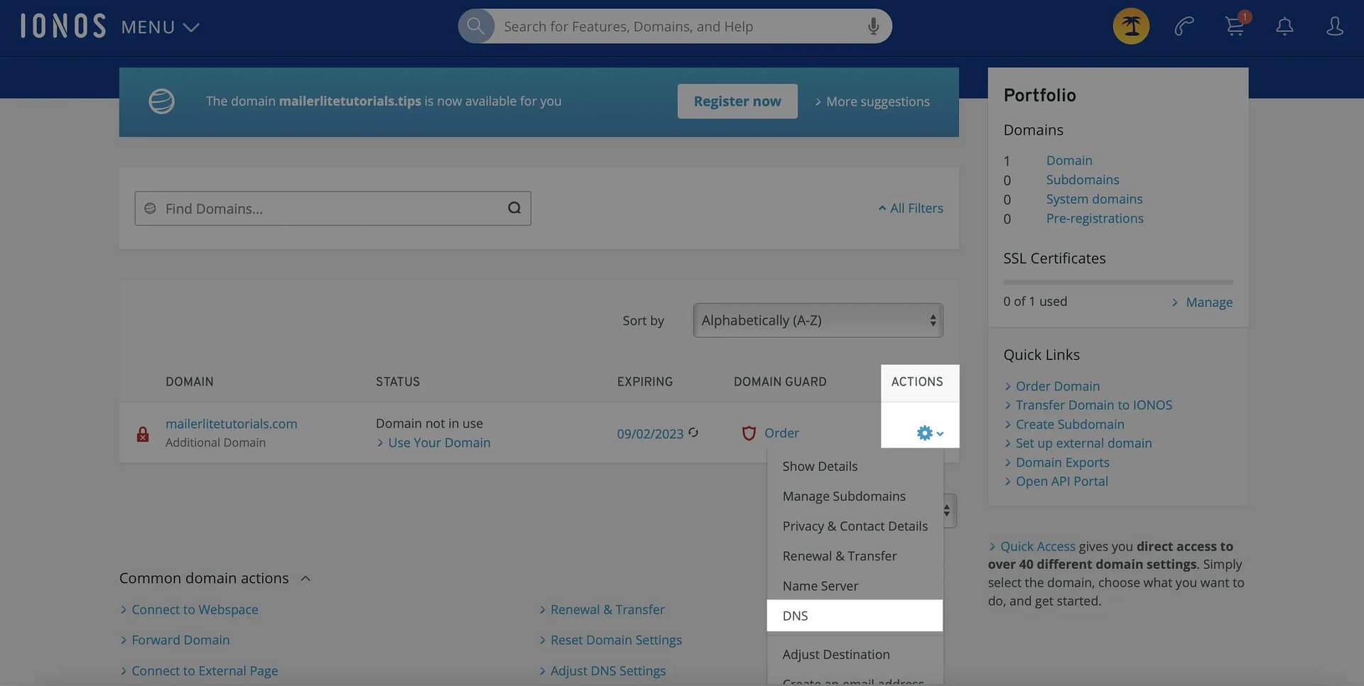 Securing Your Online Presence How to Start a Website with a $1 Domain from IONOS